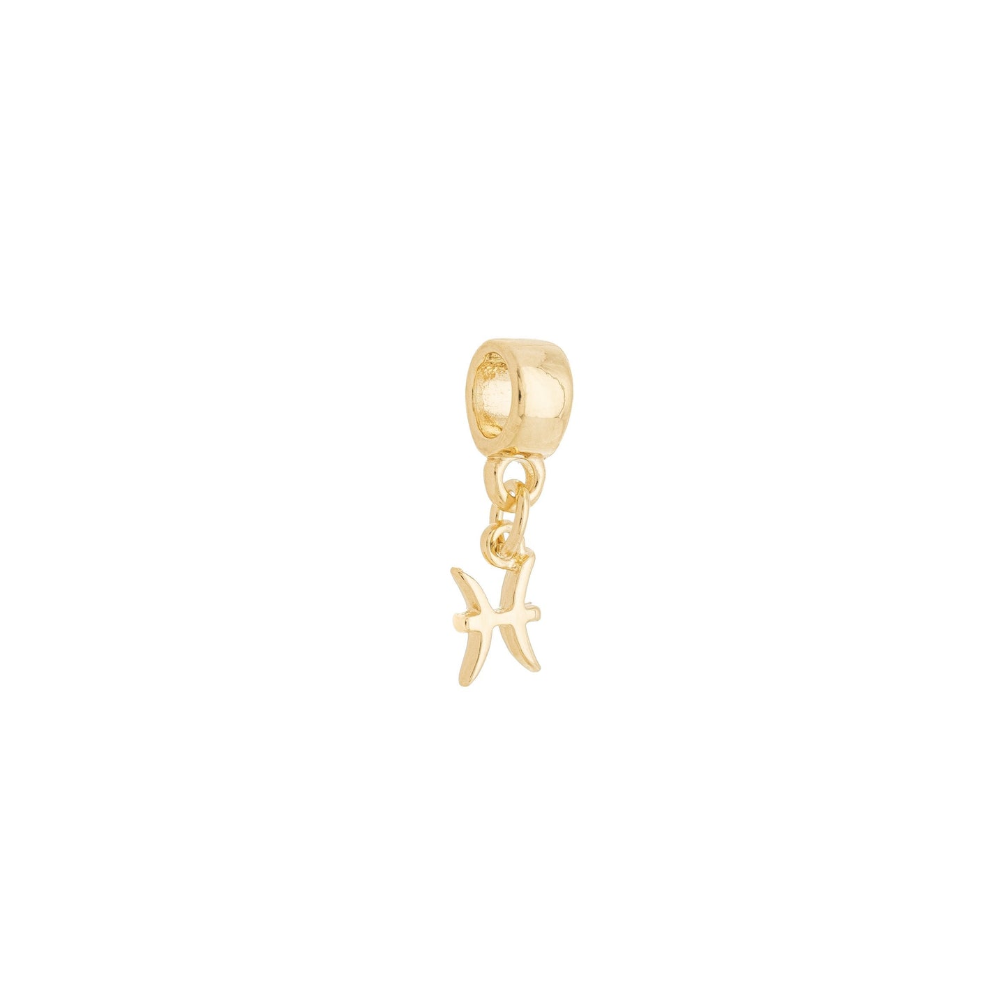 Berloque de signos banhado a ouro 18k - Biju & Cia.