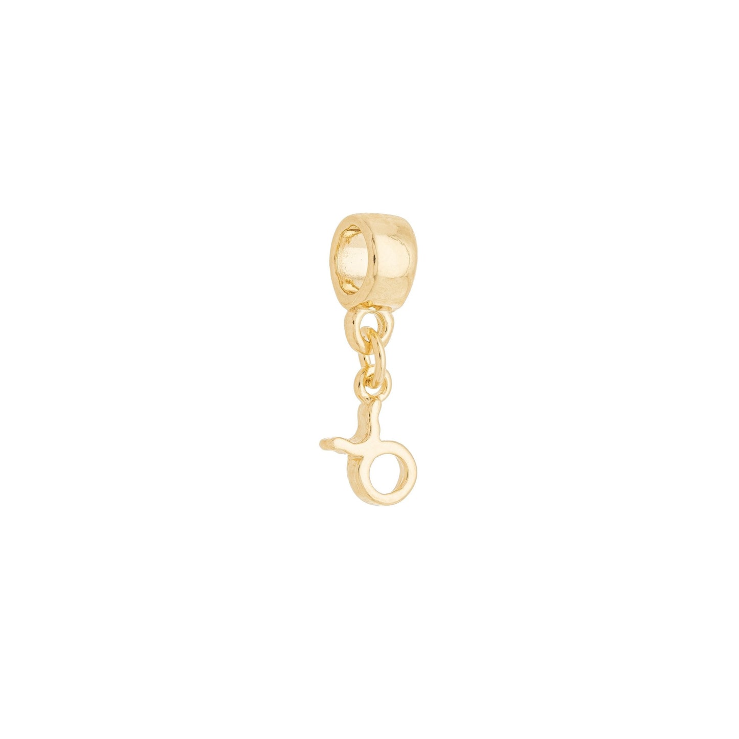 Berloque de signos banhado a ouro 18k - Biju & Cia.