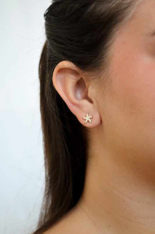 Brinco de estrela do mar com zircônias banhado a ouro 18k - Biju & Cia.