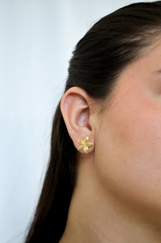Brinco flor banhado a ouro 18k - Biju & Cia.